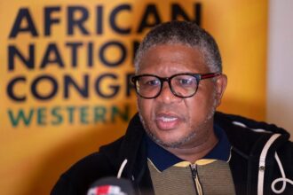 Fikile Mbalula