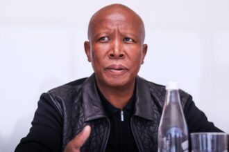 Julius Malema