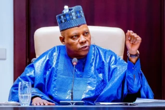 Nigerian Vice President Kashim Shettima