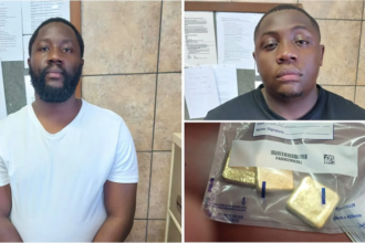 Zimbabwean man Joachim Chivayo and Ayanda Brian Gungwa a year old South African citizen were arrested for possession of gold worth R million Picture Hawks